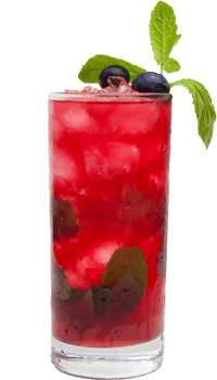 Blueberry Mojito