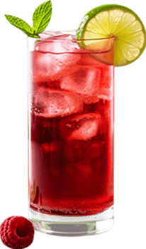 Raspberry Mojito